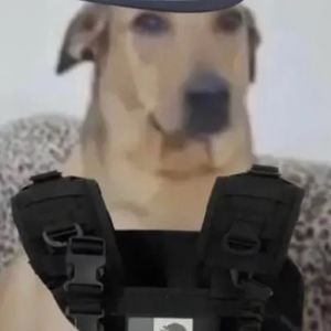 Meet your Posher, Esteban